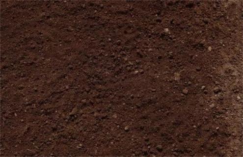 果园翻土有什么影响（果树翻土什么时候）