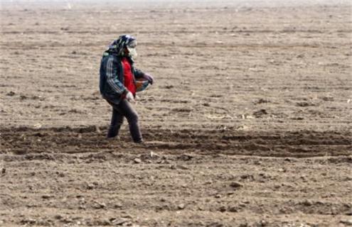 开春播种要注意什么（春天播种的注意事项）