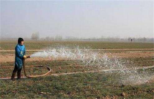 小麦浇冻水的好处 现在小麦浇冻水好吗