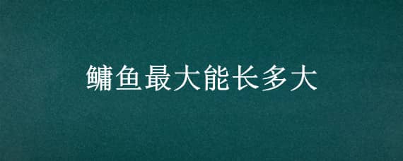 鳙鱼最大能长多大 鳙鱼可以长多大