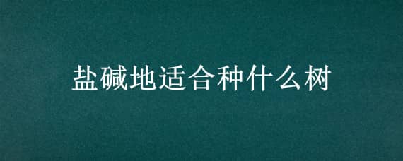 盐碱地适合种什么树（盐碱地适合种什么树呢）