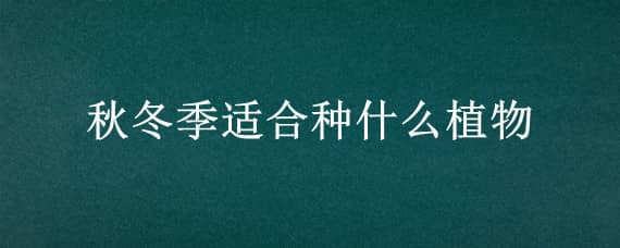 秋冬季适合种什么植物 秋冬季适合种什么植物图片