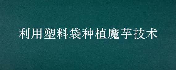 利用塑料袋种植魔芋技术（利用塑料袋种植魔芋技术论文）