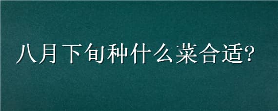 八月下旬种什么菜合适（八月份种什么菜最合适）