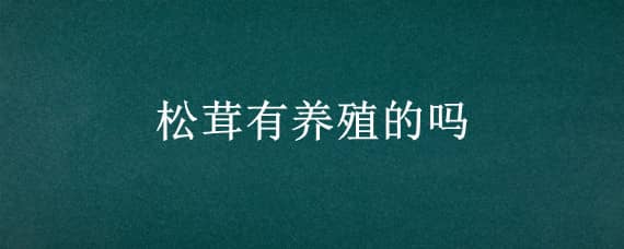 松茸有养殖的吗 松茸有养殖人工养殖的