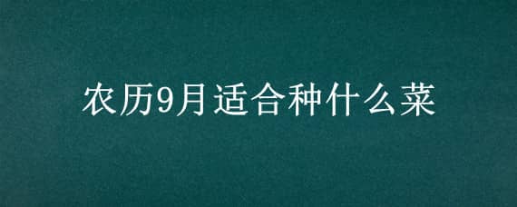 农历9月适合种什么菜（阴历9月适合种什么菜）