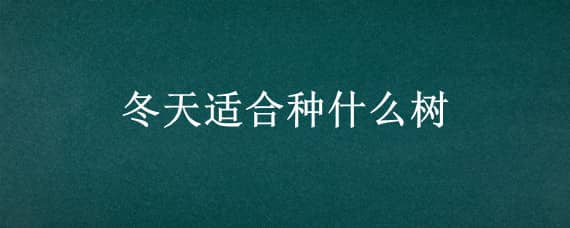 冬天适合种什么树 冬天适合种什么树北方