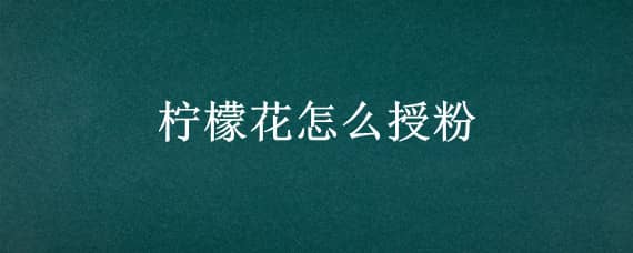 柠檬花怎么授粉 柠檬花怎么授粉视频