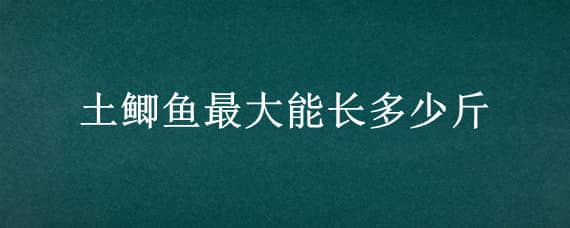 土鲫鱼最大能长多少斤 野生土鲫鱼最大能长多少斤