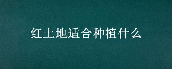 红土地适合种植什么 红土地适合种植什么经济作物