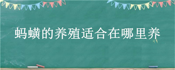 蚂蟥的养殖适合在哪里养 蚂蟥怎么样养殖