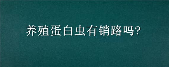 养殖蛋白虫有销路吗 蛋白虫养殖挣钱吗