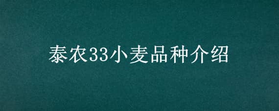 泰农33小麦品种介绍（泰农33小麦品种简介）