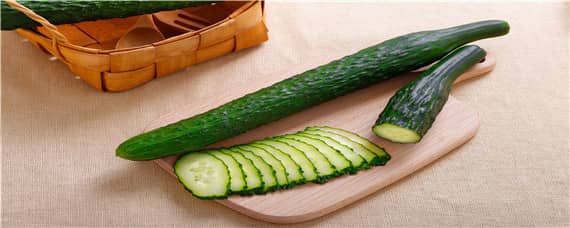 露天黄瓜的种植方法和时间 露天黄瓜的种植方法和时间视频