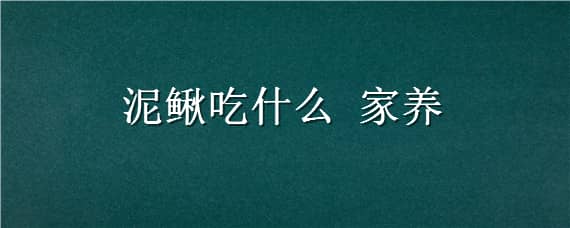 泥鳅吃什么家养（家养泥鳅吃什么食物才能活）