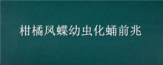 柑橘凤蝶幼虫化蛹前兆 柑橘凤蝶幼虫化蛹前兆图片