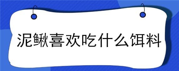 泥鳅喜欢吃什么饵料 泥鳅喜欢吃什么饵料呢