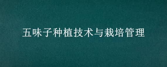 五味子种植技术与栽培管理 五味子怎样栽培