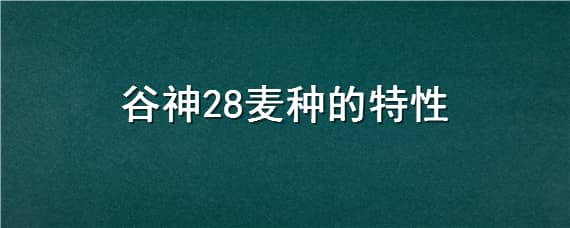 谷神28麦种的特性（谷神麦28小麦品种简介）