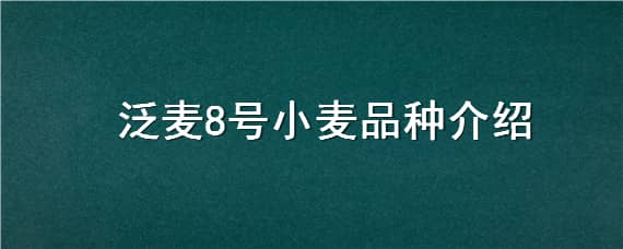 泛麦8号小麦品种介绍（泛麦8号小麦品种）