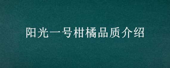 阳光一号柑橘品质介绍（阳光一号柑橘品质介绍图片）