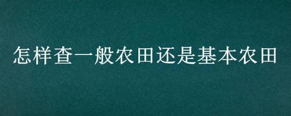 怎样查一般农田还是基本农田（怎么查一般农田和基本农田）