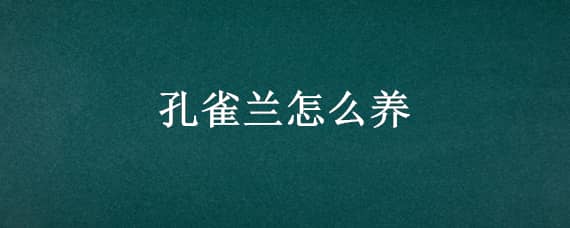 孔雀兰怎么养 孔雀兰怎么养图片