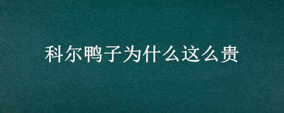 科尔鸭子为什么这么贵 科尔达鸭为什么那么贵