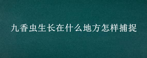 九香虫生长在什么地方怎样捕捉（九香虫在哪里捉）