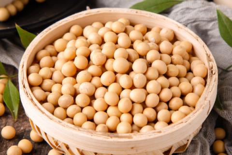 假黄豆的功效与作用 黄豆的功效与作用会怎么样