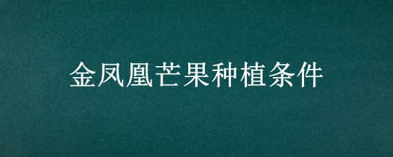 金凤凰芒果种植条件（金煌芒果种植条件）