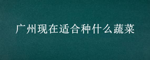 广州现在适合种什么蔬菜 广州现在的季节适合种什么菜