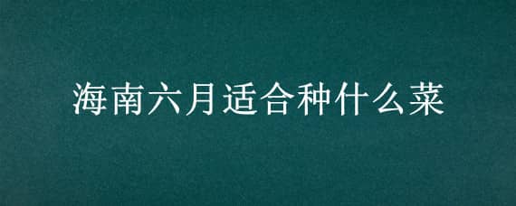 海南六月适合种什么菜（海南六月适合种什么菜呢）