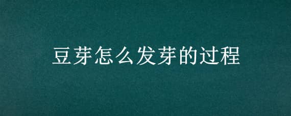 豆芽怎么发芽的过程（豆芽怎么发芽的过程作文）