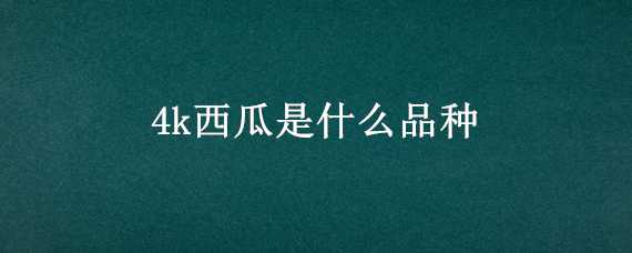 4k西瓜是什么品种 4k西瓜图片及价格