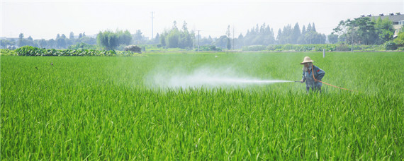 康宽杀虫剂能杀什么虫 康宽主要杀什么虫