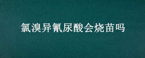 氯溴异氰尿酸会烧苗吗 氯溴异氰尿酸能浸种吗