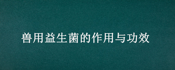 兽用益生菌的作用与功效 兽用益生菌有什么功效