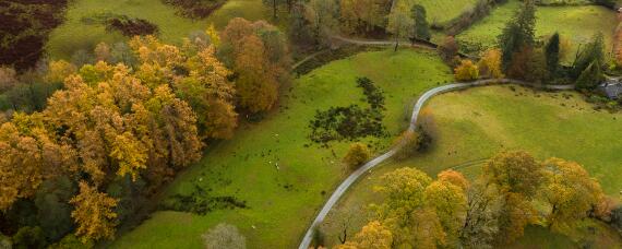 非耕地是什么意思 除草剂用于非耕地是什么意思