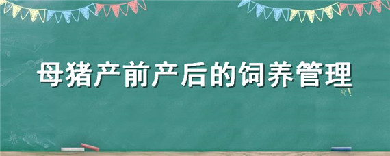 母猪产前产后的饲养管理 母猪产后饲养方法