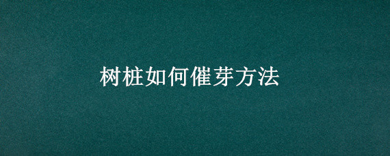 树桩如何催芽方法(如何让树桩发芽)