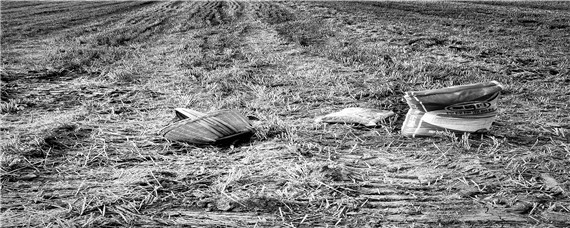 过量施用化肥有哪些危害（过量施化肥的危害）