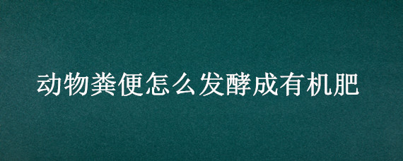 动物粪便怎么发酵成有机肥 动物粪便发酵成饲料的方法