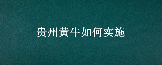 贵州黄牛如何实施（贵州黄牛如何实施智慧养殖）