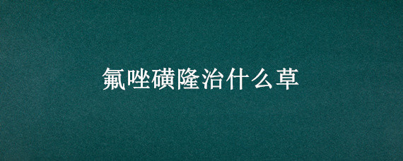 氟唑磺隆治什么草 氟唑磺隆主要杀什么草
