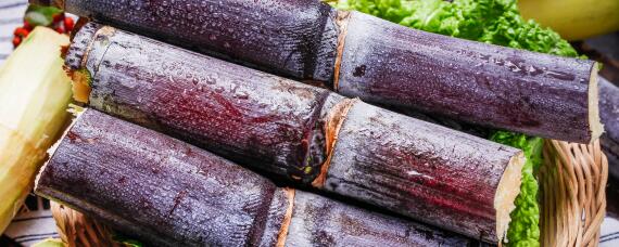 甘蔗种子怎么催芽 甘蔗种子怎样催芽