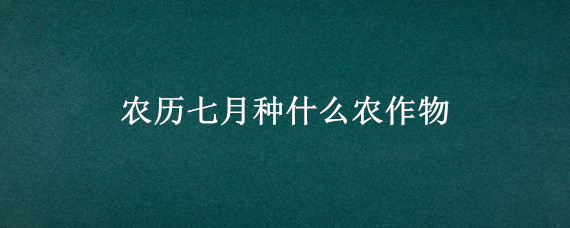 农历七月种什么农作物（六七月种什么农作物）