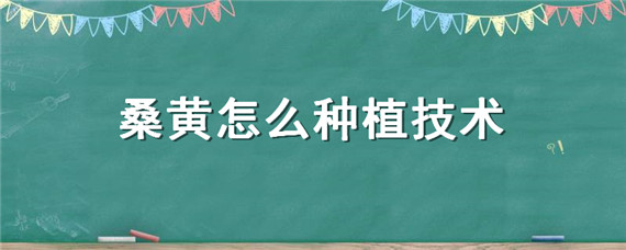 桑黄怎么种植技术 桑黄种植技术资料