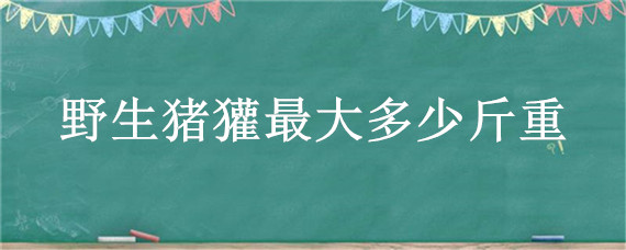 野生猪獾最大多少斤重（獾猪有多少斤）