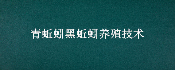 青蚯蚓黑蚯蚓养殖技术（青蚯蚓黑蚯蚓养殖技术视频）